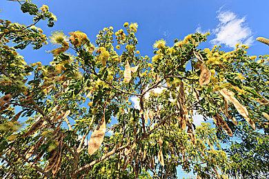 《心灵杀手2》其中一个战役将过于恐怖